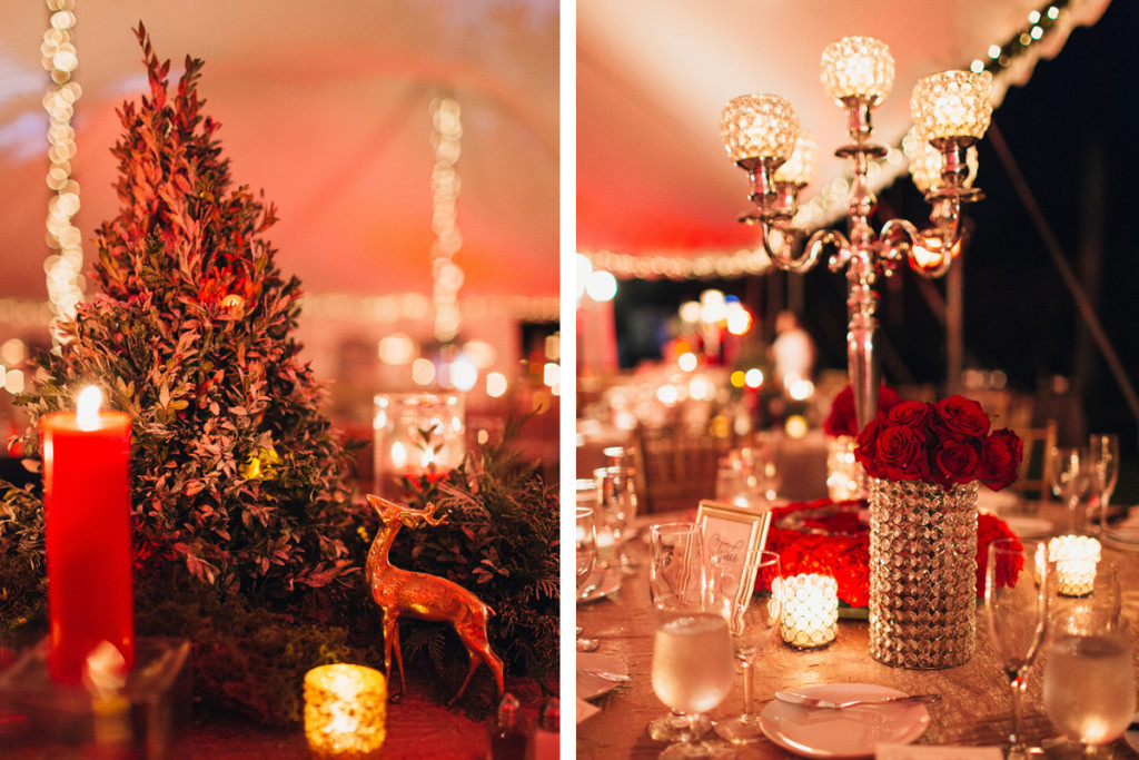 Elegant Christmas Themed Wedding | The Majestic Vision Wedding Planning | Fairchild Tropical Garden in Coral Gables, FL | www.themajesticvision.com | Robert Madrid Photography