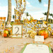 Elegant Orange and Gold Tablescape at International Polo Club in Palm Beach, FL thumbnail