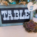 Elegant Table Number with Succulent at Sailfish Marina in Palm Beach, FL thumbnail