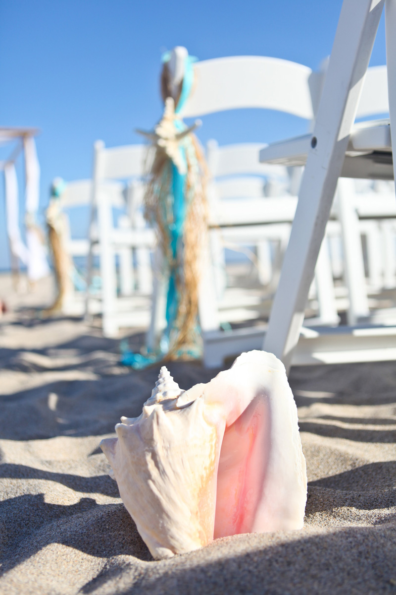 Elegant Conch Shell Aisle Markers for Beach Ceremony | The Majestic Vision Wedding Planning | Palm Beach Shores in Palm Beach, FL | www.themajesticvision.com | Krystal Zaskey Photography