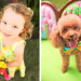 Adorable Flower Girl and Dog Ring Bearer in Sunglow First Impression Lilly Pulitzer at The Colony Hotel in Palm Beach, FL thumbnail