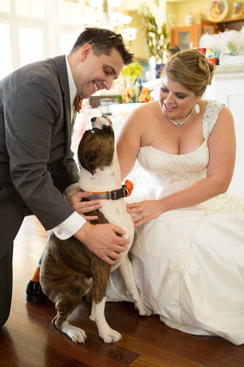 Dog as Bridal Party Member in Orange Dog Flower Collar | The Majestic Vision Wedding Planning | Palm Beach Zoo in Palm Beach, FL | www.themajesticvision.com | Robert Madrid Photography