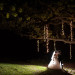Elegant Grand Exit with Twinkle Lights at Rustic Manor in Milwaukee, WI thumbnail
