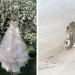 Stunning Blush Tara Keely Wedding Gown at Rustic Manor in Milwaukee, WI thumbnail