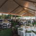 Elegant Backyard Wedding Reception in Palm Beach, FL thumbnail