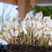 Whimisical Wedding Wands at Grand Bay Club in Key Biscayne, FL thumbnail