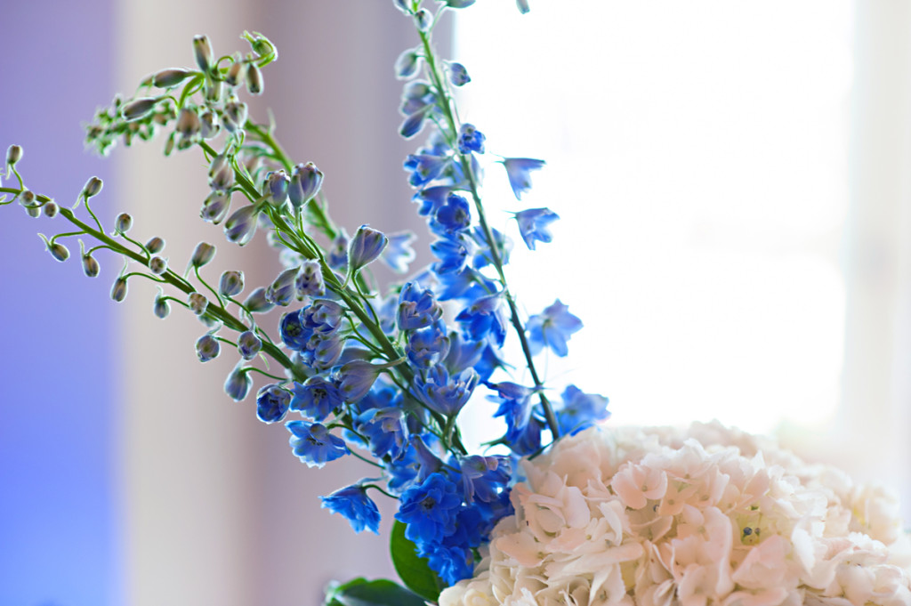 Elegant Blue and White Hydrangea Wedding Ceremony Decor | The Majestic Vision Wedding Planning | Grand Bay Club in Key Biscayne, FL | www.themajesticvision.com | Emindee Images