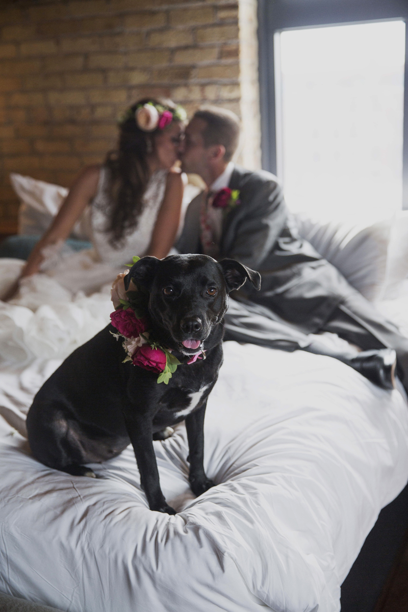 Romantic Couple with Dog Flower Girl | The Majestic Vision Wedding Planning | Iron Horse Hotel in Milwaukee, WI | www.themajesticvision.com | Shannon Wucherer Photography