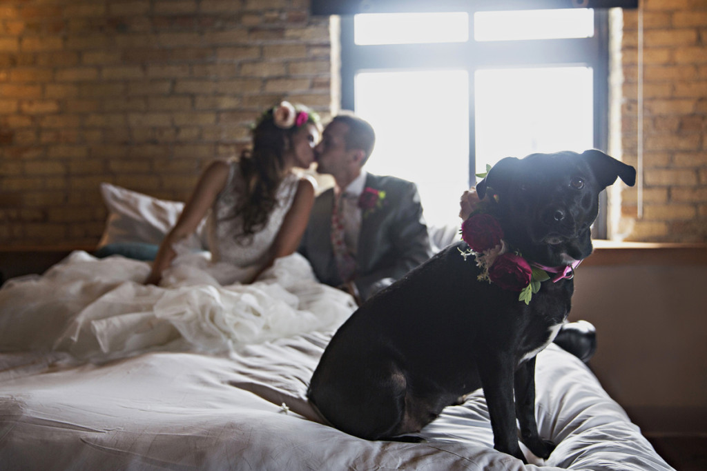 Romantic Couple with Dog Flower Girl | The Majestic Vision Wedding Planning | Iron Horse Hotel in Milwaukee, WI | www.themajesticvision.com | Shannon Wucherer Photography