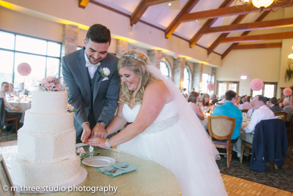 White Dot Cake at Rose Quartz and Serenity Blue Wedding | The Majestic Vision Wedding Planning | Legend of Brandybrook in Milwaukee, WI | www.themajesticvision.com | M Three Studio