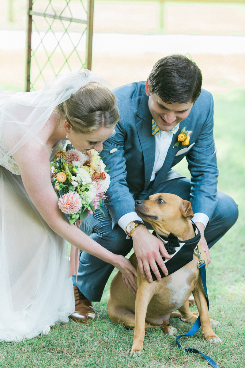 Ring Bearer Dog at Romantic Mint and Serenity Blue Farm Wedding | The Majestic Vision Wedding Planning | Private Residence in Milwaukee, WI | www.themajesticvision.com | Elizabeth Haase Photography