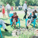 Cocktail Hour at Romantic Mint and Serenity Blue Farm Wedding at Private Residence in Milwaukee, WI thumbnail